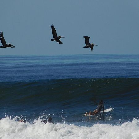 Cabinas Playa Surf Hostel Playa Santa Teresa  Экстерьер фото