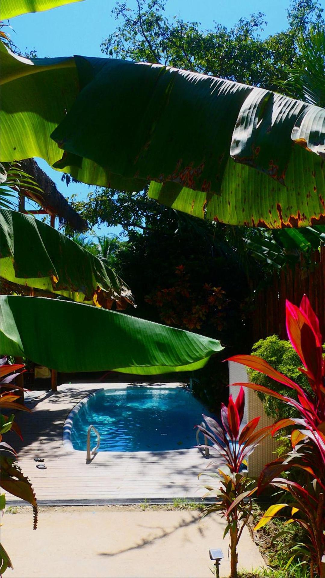 Cabinas Playa Surf Hostel Playa Santa Teresa  Экстерьер фото