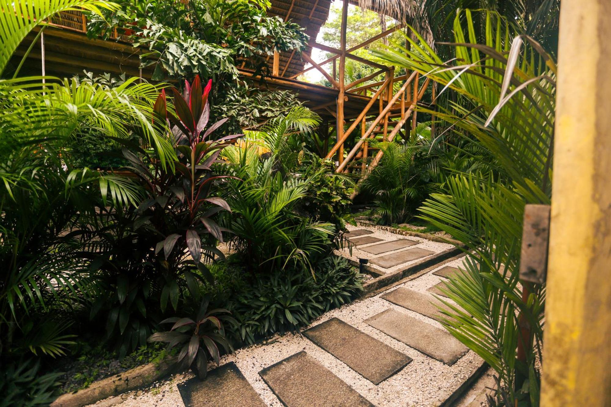 Cabinas Playa Surf Hostel Playa Santa Teresa  Экстерьер фото