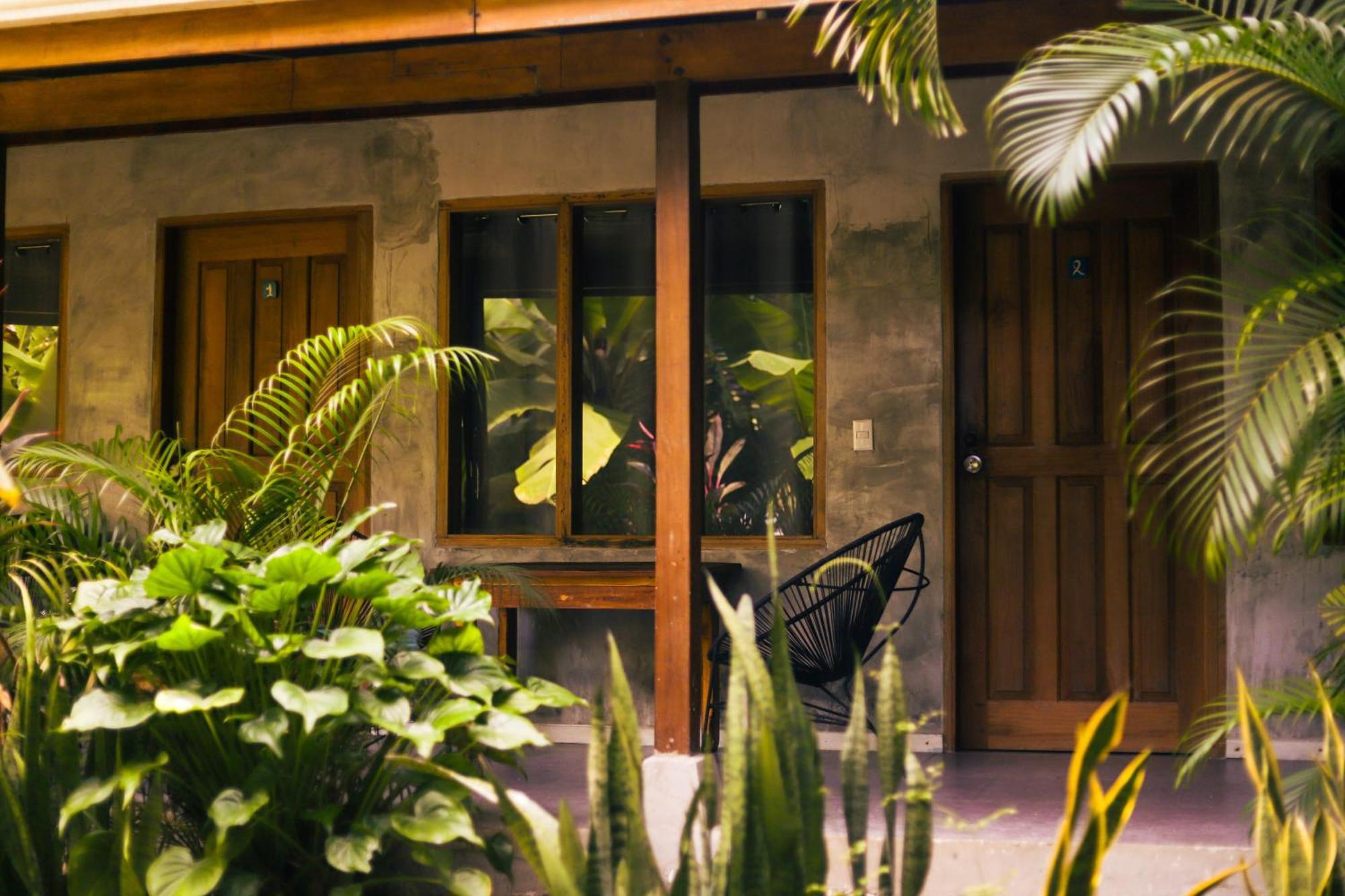 Cabinas Playa Surf Hostel Playa Santa Teresa  Экстерьер фото