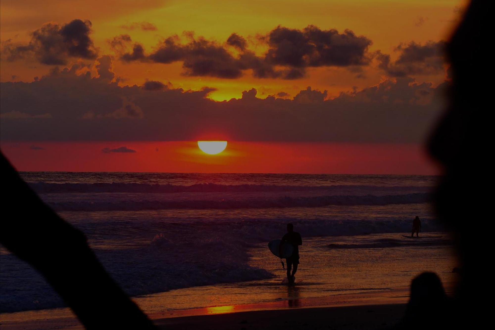 Cabinas Playa Surf Hostel Playa Santa Teresa  Экстерьер фото