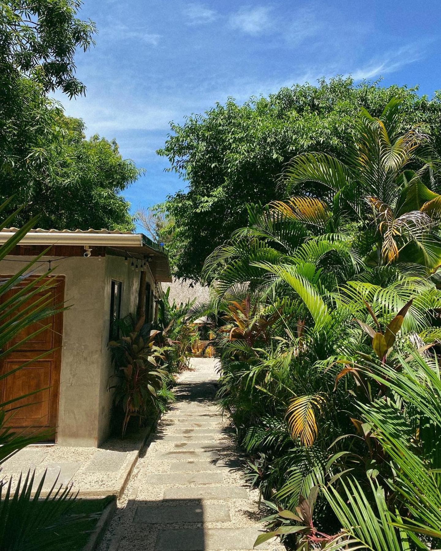 Cabinas Playa Surf Hostel Playa Santa Teresa  Экстерьер фото